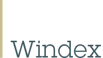 Windex